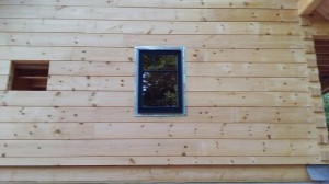 window installation, Timberhaven, log homes, log home under construction, custom built log home, laminated, kiln-dried, White Pine