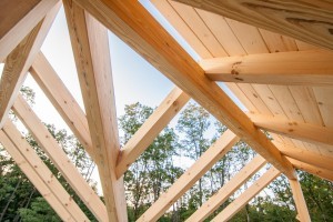 TLH_Timberframe-0120