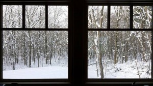 looking through the windows of a log cabin into a snowy wooded setting, log cabin, log cabin homes, log homes, log cabin kits, Timberhaven, under construction, post and beam, laminated, kiln dried, PA manufacturer