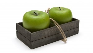 apples to apples comparison, log and timber home estimates, comparing log and timber home estimates