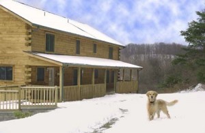 dog playing in snow in front of log home, all roads lead home, Timberhaven Log Homes, log homes, log cabin homes, log cabins, post and beam homes, timberframe homes, timber frame homes, laminated logs, engineered logs, floor plan designs, kiln dried logs, Timberhaven local reps, log homes in PA, log home builders