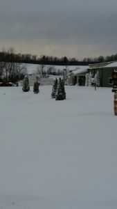 twilight sunset with snow at manufacturing facility, We are moving, Timberhaven Log Homes, Timberhaven Log & Timber Homes, log homes, log cabin homes, log cabins, post and beam homes, timberframe homes, timber frame homes, laminated logs, engineered logs, floor plan designs, kiln dried logs, Timberhaven local reps, log homes in Pennsylvania, PA