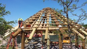 heavy timber work on a pavilion, omaha zoo, log homes, log cabin homes, log cabins, post and beam homes, timberframe homes, timber frame homes, laminated logs, engineered logs, floor plan designs, kiln dried logs, Timberhaven local reps, log homes in Pennsylvania, log homes in PA, Timberhaven Log Homes, Timberhaven Log & Timber Homes, Builder Todd Mitchell, log home rep in IN