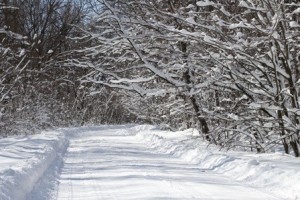 road covered with snow, built in the winter, winter build, log home winter, building a log home in the winter, building a timber frame home in the winter, Timberhaven