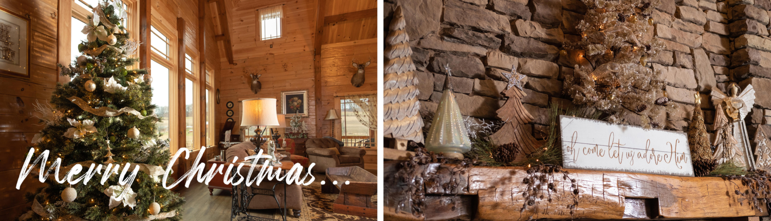 2021 Merry Christmas Hero