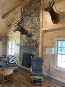 log cabin with deer mounts and fireplace, log cabin home, Timberhaven